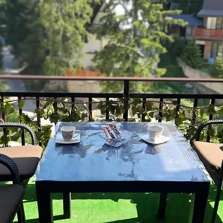 Zlaja Daire *