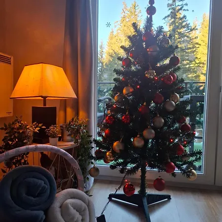 Apartment Zlaja